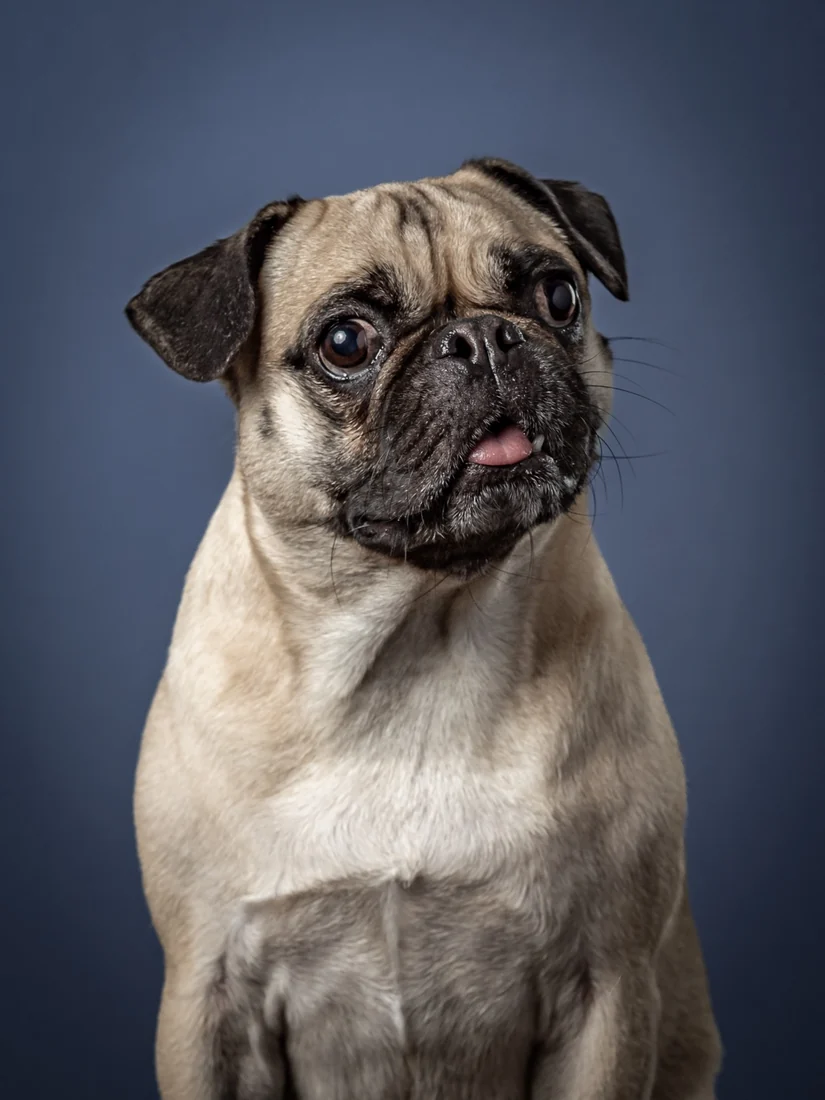 Zach the Frug